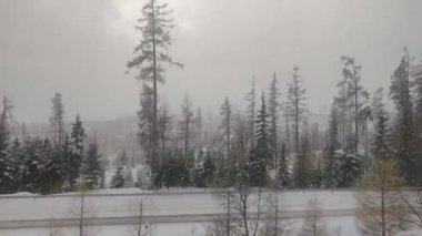 Kardaki ve dağlardaki orman manzarası modern elektrik treninden Slovakya 'daki Strbske Pleso' ya, Tatres dağlarına gidiyor.