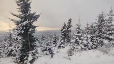 Kardaki ve dağlardaki orman manzarası modern elektrik treninden Slovakya 'daki Strbske Pleso' ya, Tatres dağlarına gidiyor.