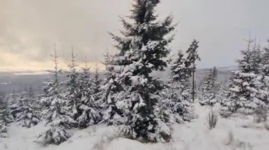 Kardaki ve dağlardaki orman manzarası modern elektrik treninden Slovakya 'daki Strbske Pleso' ya, Tatres dağlarına gidiyor.