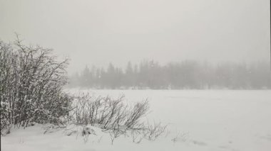 Strbske Pleso, High Tatras, Slovakya tatil beldesinde sis ve rüzgar