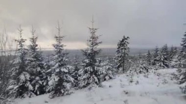 Kardaki ve dağlardaki orman manzarası modern elektrik treninden Slovakya 'daki Strbske Pleso' ya, Tatres dağlarına gidiyor.