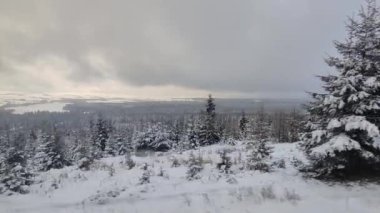 Kardaki ve dağlardaki orman manzarası modern elektrik treninden Slovakya 'daki Strbske Pleso' ya, Tatres dağlarına gidiyor.