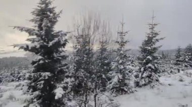 Kardaki ve dağlardaki orman manzarası modern elektrik treninden Slovakya 'daki Strbske Pleso' ya, Tatres dağlarına gidiyor.