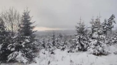 Kardaki ve dağlardaki orman manzarası modern elektrik treninden Slovakya 'daki Strbske Pleso' ya, Tatres dağlarına gidiyor.