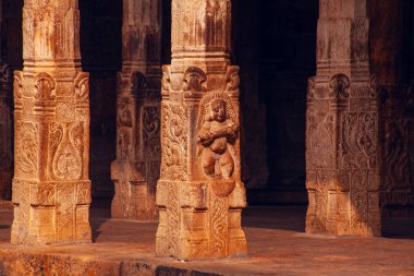 Trichi, Hindistan - 12 Ocak 2023: Sri Ranganatha Swamy Temple, Srirangam, Hinu Temple in Trichy, Tamil Nadu, Hindistan. İbadet yeri.