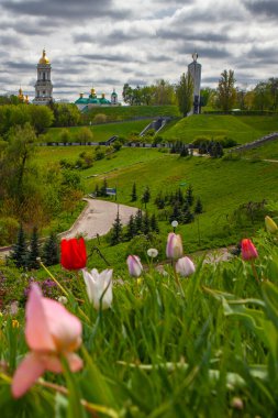 Kyiv şehir manzaralı çiçek parkı Slavy (ölümsüz zafer) laleler çiçek ile