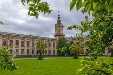 Kyiv şehri manzaralı laleli Flom Park Slavy (ölümsüz zafer) 