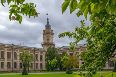Kyiv şehri manzaralı laleli Flom Park Slavy (ölümsüz zafer) 