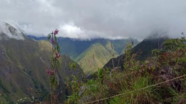 Machu Picchu ancient city view from Huchu'y Picchu in cloudy weather