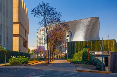 MEXICO CITY, MEXICO - 14 Mart 2022 - Soumaya, Mexico City 'de kar amacı gütmeyen, 30 yüzyıllık sanat eserlerinden 66.000' den fazla esere sahip özel bir müzedir.