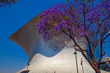 MEXICO CITY, MEXICO - 14 Mart 2022 - Soumaya, Mexico City 'de kar amacı gütmeyen, 30 yüzyıllık sanat eserlerinden 66.000' den fazla esere sahip özel bir müzedir.