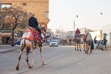 Giza, Mısır - 5 Mart 2025: Kahire 'nin Giza mahallesinde turist bekleyen deve bakıcıları