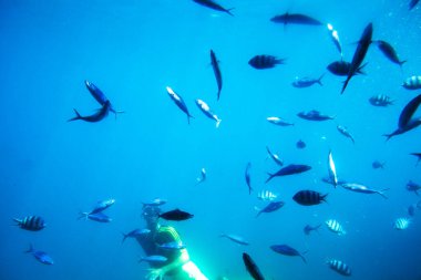 Hurghada. Mısır - 18 Mart 2025: İnsanoğlu Kızıldeniz 'deki balık ve mercanların güzelliğine Hurghada' daki bir denizaltıdan dalıyor