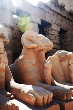 Luxor, Mısır - 12 Mart 2025: Karnak Tapınağı, Tanrı Amun-Ra, karısı Mut ve oğlu Khons onuruna Antik Mısır 'ın tapınak kompleksine adanmıştır. Teb, Karnak, Luxor, Mısır. 