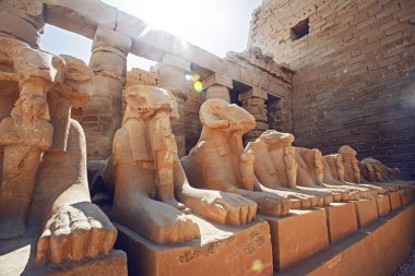Luxor, Mısır - 12 Mart 2025: Karnak Tapınağı, Tanrı Amun-Ra, karısı Mut ve oğlu Khons onuruna Antik Mısır 'ın tapınak kompleksine adanmıştır. Teb, Karnak, Luxor, Mısır. 