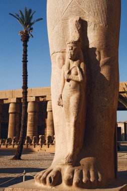 Luxor, Mısır - 12 Mart 2025: Karnak Tapınağı, Tanrı Amun-Ra, karısı Mut ve oğlu Khons onuruna Antik Mısır 'ın tapınak kompleksine adanmıştır. Teb, Karnak, Luxor, Mısır. 