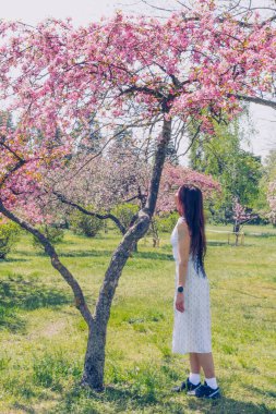 Kyiv 'deki Sakura bahçe parkında beyaz elbiseli güzel bir kadın.