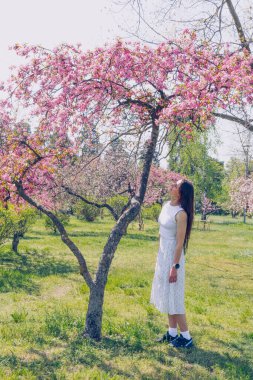 Kyiv 'deki Sakura bahçe parkında beyaz elbiseli güzel bir kadın.