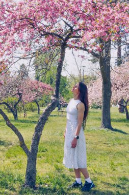 Kyiv 'deki Sakura bahçe parkında beyaz elbiseli güzel bir kadın.