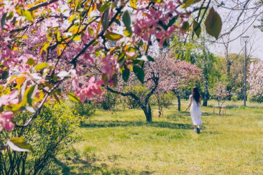 Kyiv 'deki Sakura bahçe parkında beyaz elbiseli güzel bir kadın.