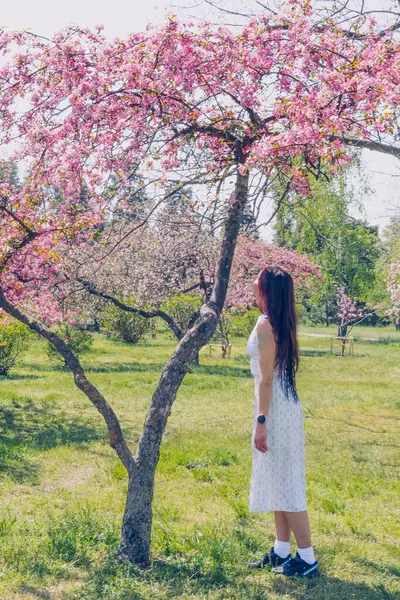 Kyiv 'deki Sakura bahçe parkında beyaz elbiseli güzel bir kadın.