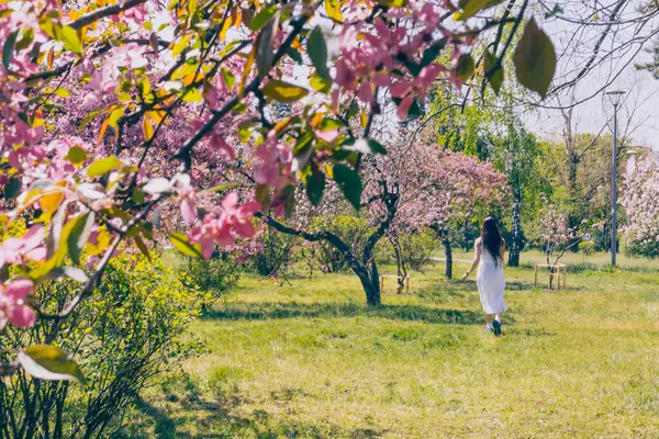 Kyiv 'deki Sakura bahçe parkında beyaz elbiseli güzel bir kadın.