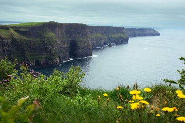 İrlanda 'daki Moher Kayalıkları' nın engebeli kıyı şeridi ve bulutlu gökyüzü manzarası