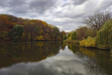 Kyiv 'deki sonbahar ormanında sarı ağaçların yansımasıyla güzel bir göl.