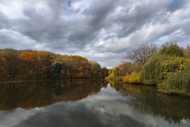 Kyiv 'deki sonbahar ormanında sarı ağaçların yansımasıyla güzel bir göl.