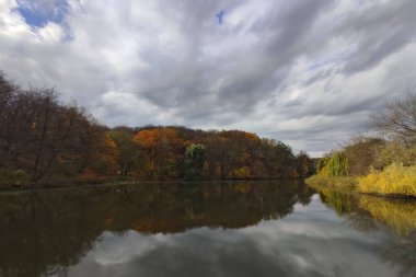 Kyiv 'deki sonbahar ormanında sarı ağaçların yansımasıyla güzel bir göl.