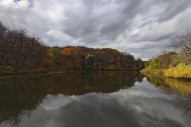 Kyiv 'deki sonbahar ormanında sarı ağaçların yansımasıyla güzel bir göl.