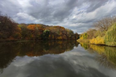 Kyiv 'deki sonbahar ormanında sarı ağaçların yansımasıyla güzel bir göl.