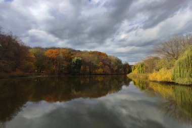 Kyiv 'deki sonbahar ormanında sarı ağaçların yansımasıyla güzel bir göl.