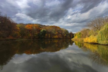 Kyiv 'deki sonbahar ormanında sarı ağaçların yansımasıyla güzel bir göl.