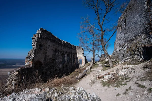 スロヴァキア 中央ヨーロッパの中世プラヴェッキ城の放棄された遺跡 目的地 — ストック写真