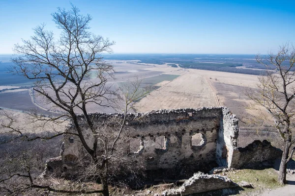 Εγκαταλελειμμένα Ερείπια Του Μεσαιωνικού Κάστρου Plavecky Στη Σλοβακία Κεντρική Ευρώπη Φωτογραφία Αρχείου