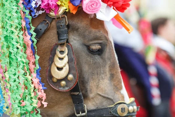 Ντυμένο Άλογο Κατά Διάρκεια Της Παραδοσιακής Μοραβίας Ride Kings Φεστιβάλ Εικόνα Αρχείου