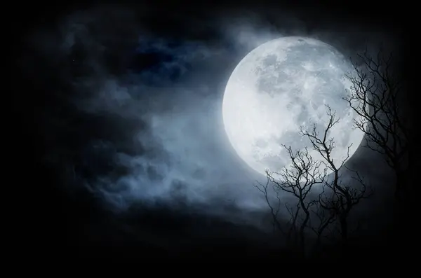 Dolunay korkunç cadılar bayramı gökyüzü, kara bulutlar arka plan ve ayın önünde ağaç dalları.