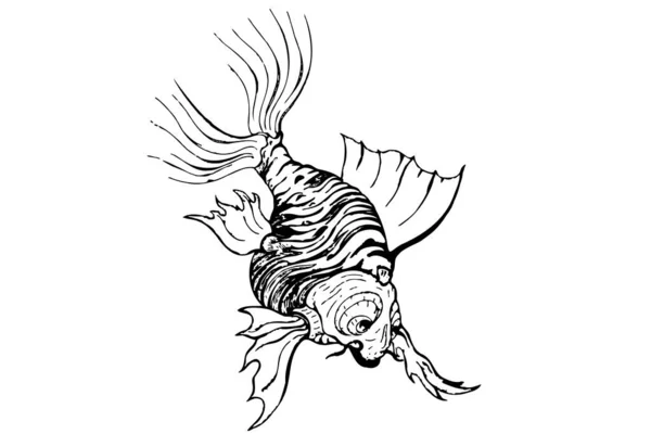 Fat Carpe Poisson Dessin Animé Illustration — Image vectorielle