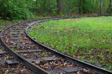 Tren yolu boyunca ilerleyin, sola dönün, ormandan ve çalılıklardan geçin.