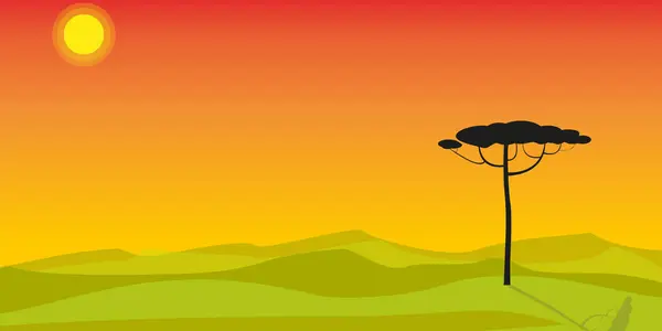 Закат Кении Африканский Равнинный Ландшафт Дикая Природа Саванны Панорамный Фон — стоковый вектор