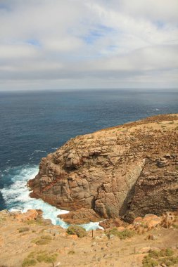 Güney Avustralya 'da kayalıklarda Deniz Aslanları olan Kanguru Adası sahili manzarası.