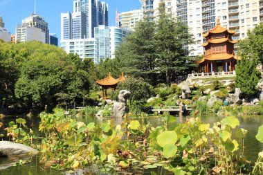Sidney, Avustralya 'da Çin arkadaşlık bahçesi