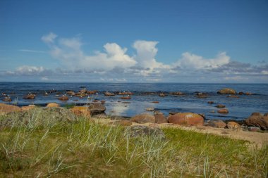 Kayalık deniz kıyısının güzel manzarası. Baltık Denizi 'nin sakin manzarası.
