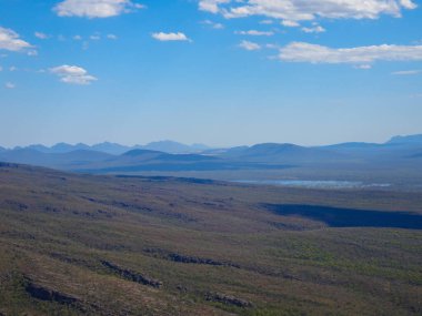 Sazlıktaki mavi dağlı vadi, Grampianlar, Victoria, Avustralya