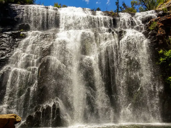 Su dolu MacKenzie Şelaleleri, Grampian Ulusal Parkı, Victoria, Avustralya 