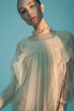 young beautiful girl posing in a romantic dress. Sunlight. Sexy model in transparent dress.