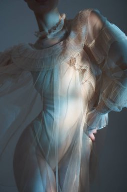 young beautiful girl posing in a romantic dress. Sunlight. Sexy model in transparent dress.