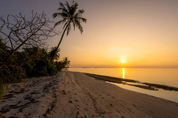 Belo Pôr Sol Uma Praia Ilha Dhigurah Nas Maldivas — Fotografia de Stock