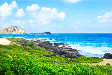 Okyanus manzarası kayalık Makapu 'u Sahil Parkı, Oahu, Hawaii